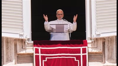 البابا ليو الرابع عشر