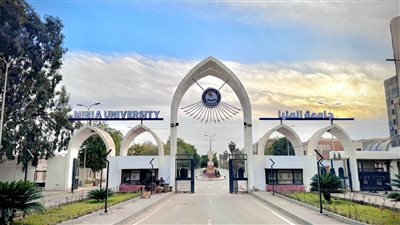 رئيس جامعة المنيا يعلن الاعتماد المؤسسي لكليتي العلوم والصيدلة 