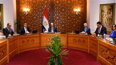 مصر والجزائر وتونس تجدد دعمها لوحدة ليبيا