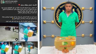 ضبط حرامي بعد سرقة كرتونة مواد غذائية من تروسيكل بشوارع بني سويف