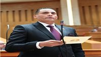 نائب بـ«إفريقية النواب»: كلمة الرئيس السيسي في يوم إفريقيا تؤكد عمق الدور المصري بالقارة