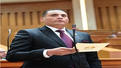 نائب بـ«إفريقية النواب»: كلمة الرئيس السيسي في يوم إفريقيا تؤكد عمق الدور المصري بالقارة
