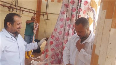جولة ميدانية بمجازر كفر سعد بدمياط استعدادا لعيد الأضحى المبارك