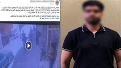 بعد انتشار فيديو الواقعة.. سقوط المتهم بالتعدي على شقيقه بالضرب في المنوفية|شاهد
