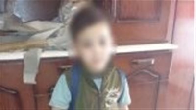 الداخلية تكشف حقيقة استغاثة ربة منزل بتغيب حفيدها في حدائق المعادى