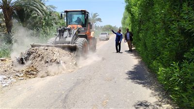 رئيس مدينة أرمنت يقود حملة لنظافة وتجميل الشوراع بالمركز غرب الأقصر.. صور