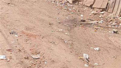 محافظ الدقهلية يتابع حملة نظافة شاملة بقرية منية سمنود 