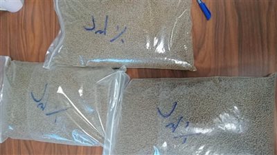 سحب عينات من أعلاف أسماك بدمياط قبل تصدير 360 طنا للأردن