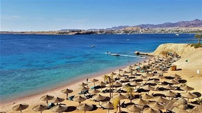 الصحف الأيرلندية تسلط الضوء على تنوع المقصد السياحي المصري وتؤكد مكانته كوجهة عالمية متكاملة