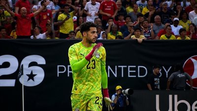 مصطفى شوبير 