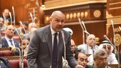 النائب أحمد دياب يطالب بإنشاء صندوق لقدامى الرياضيين لدعمهم وتخفيف الأعباء عليهم