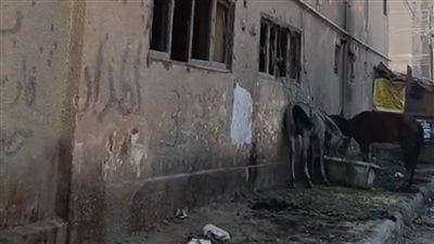 سكان حي جنوب الفيوم يرون ل 