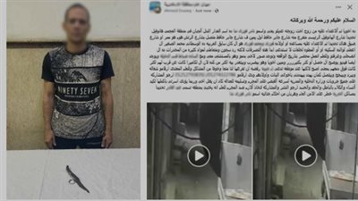 شاب يمزق جسد «عديله» بسلاح أبيض لخلافات أسرية بالإسكندرية