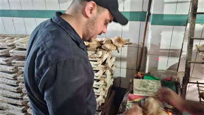 تحرير محاضر أثناء حملات مفاجئة على المخابز بقرى وعزب طنطا وكفر الزيات