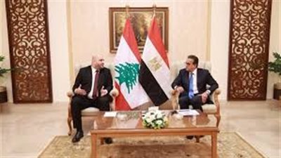 لقاء الدكتور خالد عبد الغفار، بنظيره اللبناني الدكتور ركان 