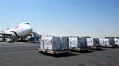 100 طن مساعدات إماراتية تصل العريش تمهيدا لدخولها إلى غزة