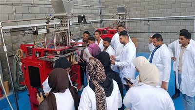 التعليم العالي: طفرة بأداء الجامعات التكنولوجية 