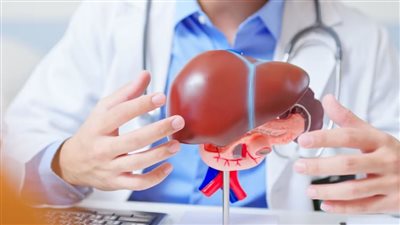 كيف يحدث سرطان الكبد وكيف تتطور أمراض الكبد؟