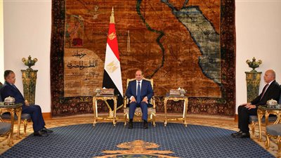 الرئيس السيسي يؤكد دعم مصر الكامل لترشح نبيل فهمي أمينا عاما لجامعة الدول العربية