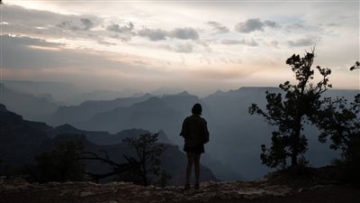 شعور الوحدة