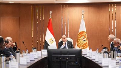 وزير العمل: 2.5 مليار جنيه دعمًا لـ441 ألف عامل عبر صندوق إعانات الطوارئ