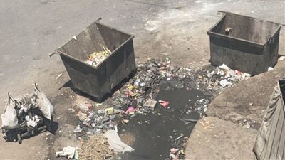 شارع رايل تقاطع شارع راغب كارثة بيئية 