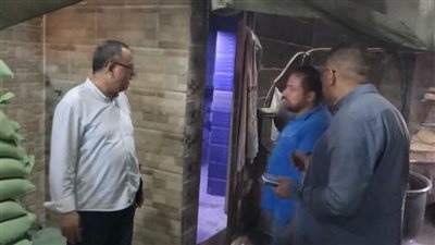 محافظ الدقهلية يتابع جهود مديرية التموين وتحرير 538 مخالفة