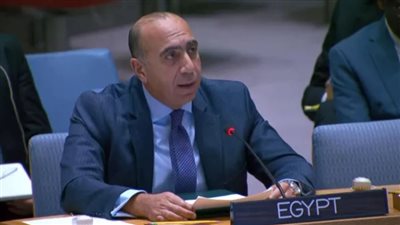 مصر تحذر من تدفق السلاح والمرتزقة إلى السودان وتداعياته الإقليمية