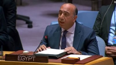 مندوب مصر بمجلس الأمن: تقسيم السودان خط أحمر.. وحمايته مسؤولية مجتمعية دولية