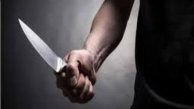 بسبب خلافات على قطعة أرض.. شخصان ينهيان حياة جارهما بالبحيرة 
