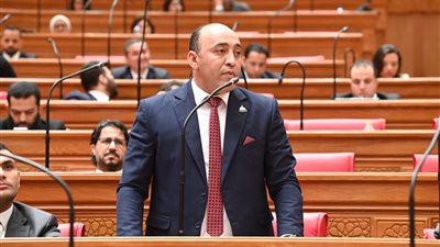 حسام حسن يطالب الحكومة بتوضيح أسباب الزيادات المتتالية في أسعار تذاكر القطارات وآثارها على المواطنين
