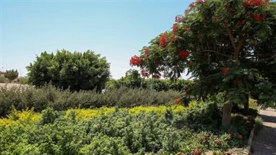 وزيرة الإسكان تتابع تطوير مداخل ومحاور مدينة بدر 