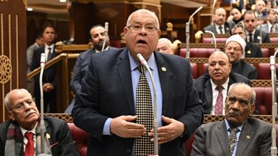 النائب ناجي الشهابي: الحكم القضائي البات بإدانة وزيرة الثقافة يؤكد أن دولة القانون لا تعرف استثناءات