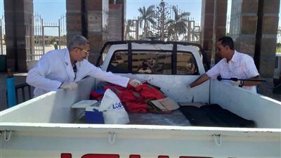 حملة بيطرية بدمياط الجديدة لتحصين الكلاب الحرة وتعزيز الوقاية من الأمراض المشتركة