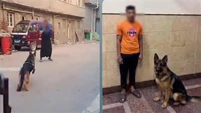 ضبط عامل لدفعه الكلب الخاص به على مهاجمة سيدة بالبحيرة 