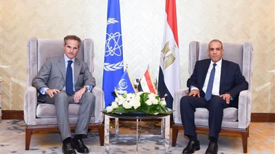 وزير الخارجية يلتقي المدير العام للوكالة الدولية للطاقة الذرية بمدينة العلمين