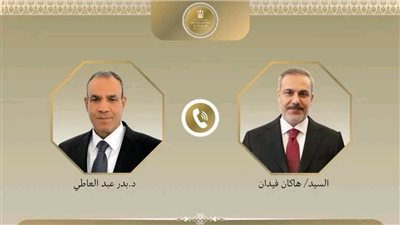 مصر وتركيا تؤكدان مواصلة التنسيق السياسي ورفض تهجير الفلسطينيين