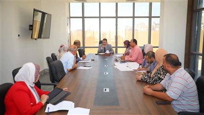 مشروع حينا بالشعراء محور اجتماع محافظ دمياط مع مسؤولي شركة الكهرباء