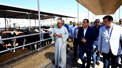 رئيس الوزراء يتفقد مزرعة 
