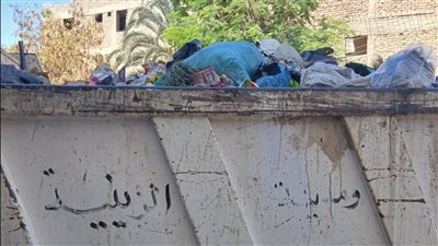 حملة مكبرة لرفع المخلفات وتهذيب الأشجار بمركز الزينية بالأقصر.. صور 