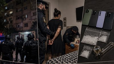 ضبطية داخل شقة دعارة بالبساتين