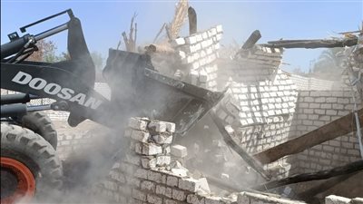 حملة مكبرة لإزالة التعديات على الأراضي الزراعية واسترداد أملاك الدولة بالأقصر.. صور