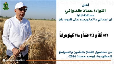 محافظ المنيا: انتظام أعمال توريد القمح واستلام نحو 536 ألف طن