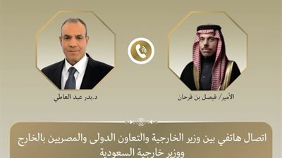 وزير الخارجية يبحث مع نظيره السعودي مستجدات الأوضاع الإقليمية 