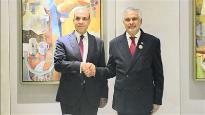 وزير الخارجية يؤكد أهمية تعزيز الشراكة مع باكستان وربط المستثمرين بفرص قناة السويس