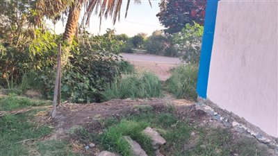 مواطنة تستغيث بمحافظ المنيا: هيئة الأبنية التعليمية تعدت على أرضي وبنت سور مدرسة دون علمي (صور) 