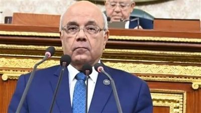 برلماني: قانون المحال العامة لم يصدر لتحصيل رسوم إضافية