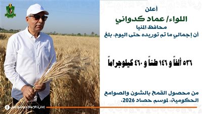 محافظ المنيا: توريد أكثر من 536 ألف طن قمح حتى الآن