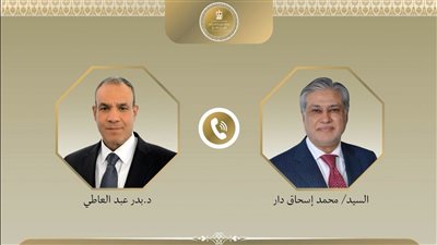 وزيرا خارجية مصر وباكستان يبحثان خفض التصعيد 