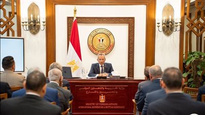 هاني حنا يشرح للسفراء الجدد آليات إعداد مشروعات القوانين
